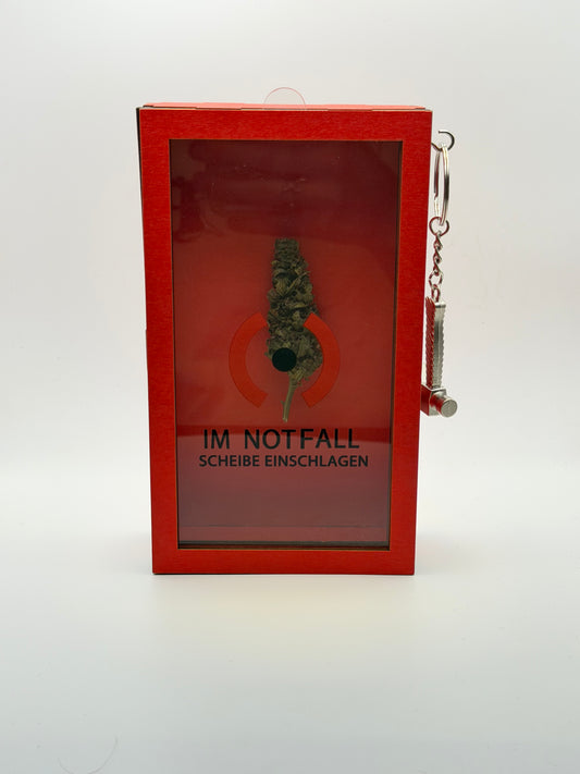 BudChainz Notfallbox